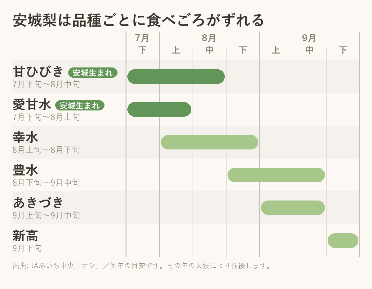 安城梨6品種の出荷時期を並べた図。安城生まれの甘ひびきと愛甘水は7月下旬からで期間が短く、幸水は8月上旬から、豊水は8月下旬から、あきづきは9月上旬から、新高は9月下旬に出荷される