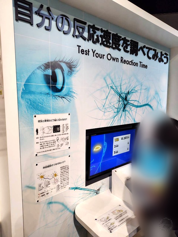 自分の反応速度を調べる展示