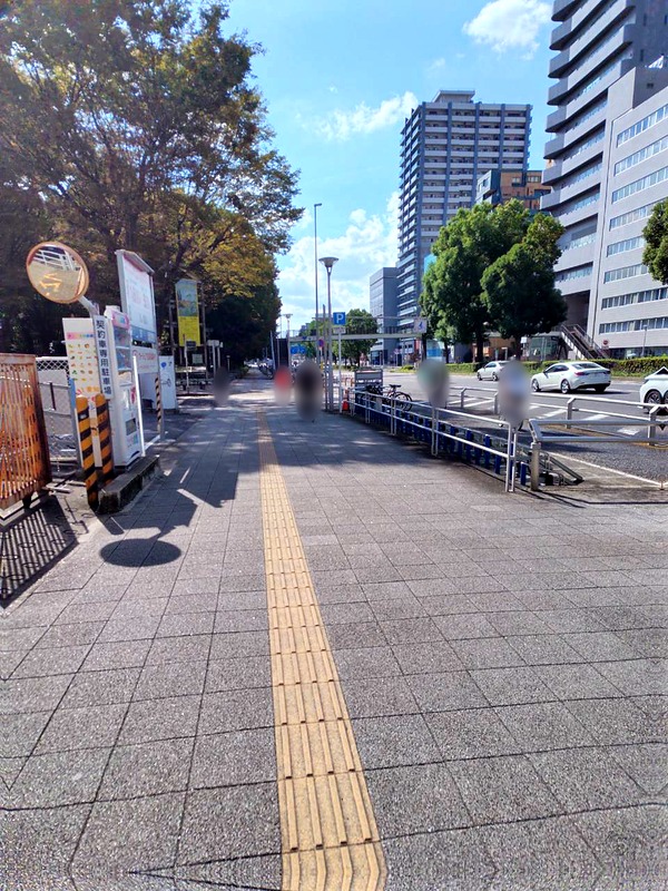 科学館へ向かう、点字ブロックのある歩道