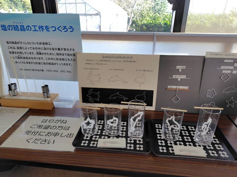 針金に塩の結晶をつけた塩の結晶工作の見本