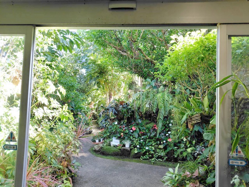 植物観賞温室の中の植物と通路