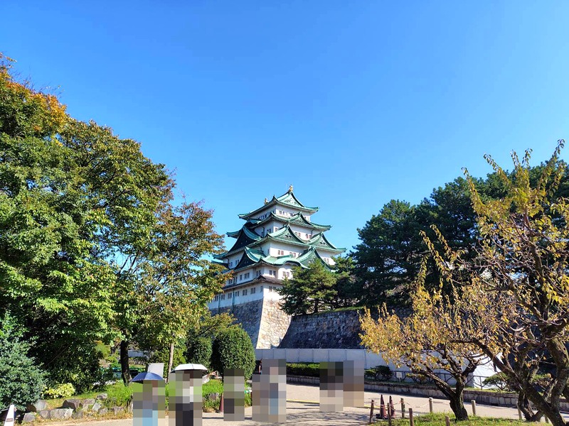 木々の間に見える名古屋城の天守