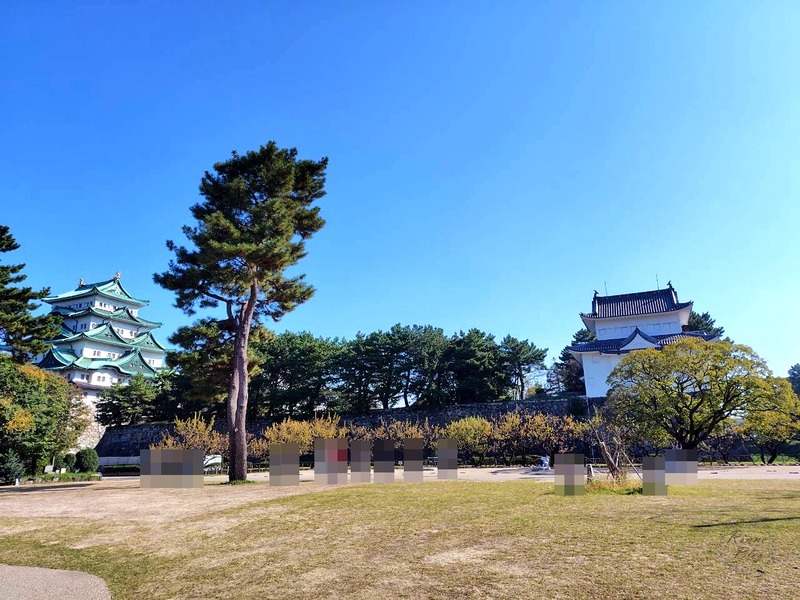 木々の向こうに見える天守と櫓