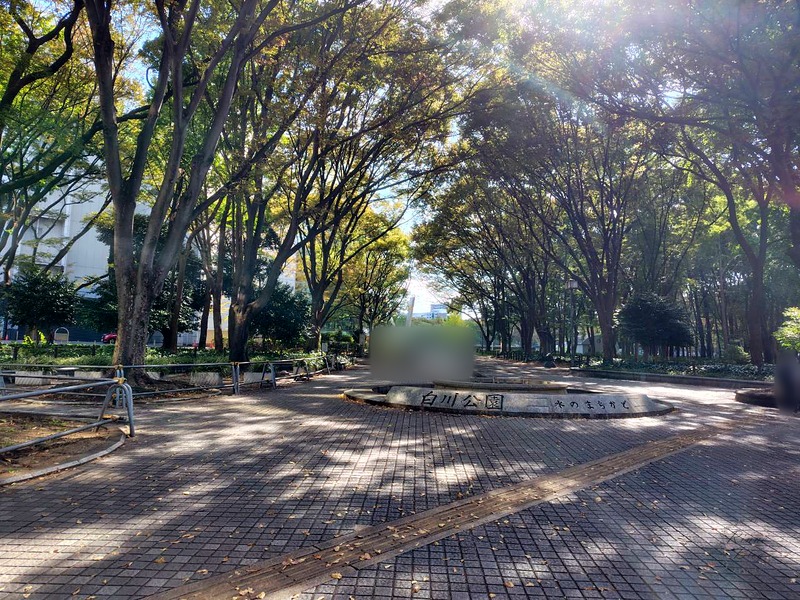 「白川公園」の看板と、並木が続く公園の入口