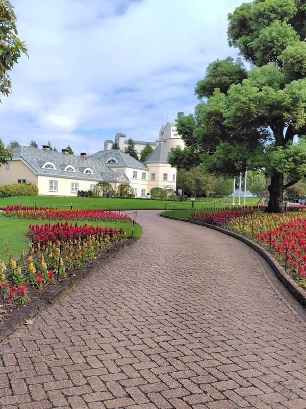 denpark-celosia-garden