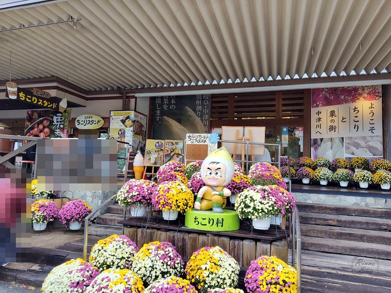 菊の花に囲まれた、ちこり村の入口前のキャラクター像