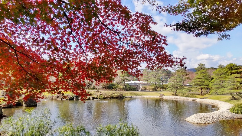 11月下旬の紅葉山庭園。もみじの向こうに池が広がる